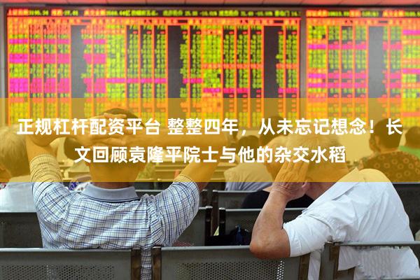 正规杠杆配资平台 整整四年，从未忘记想念！长文回顾袁隆平院士与他的杂交水稻
